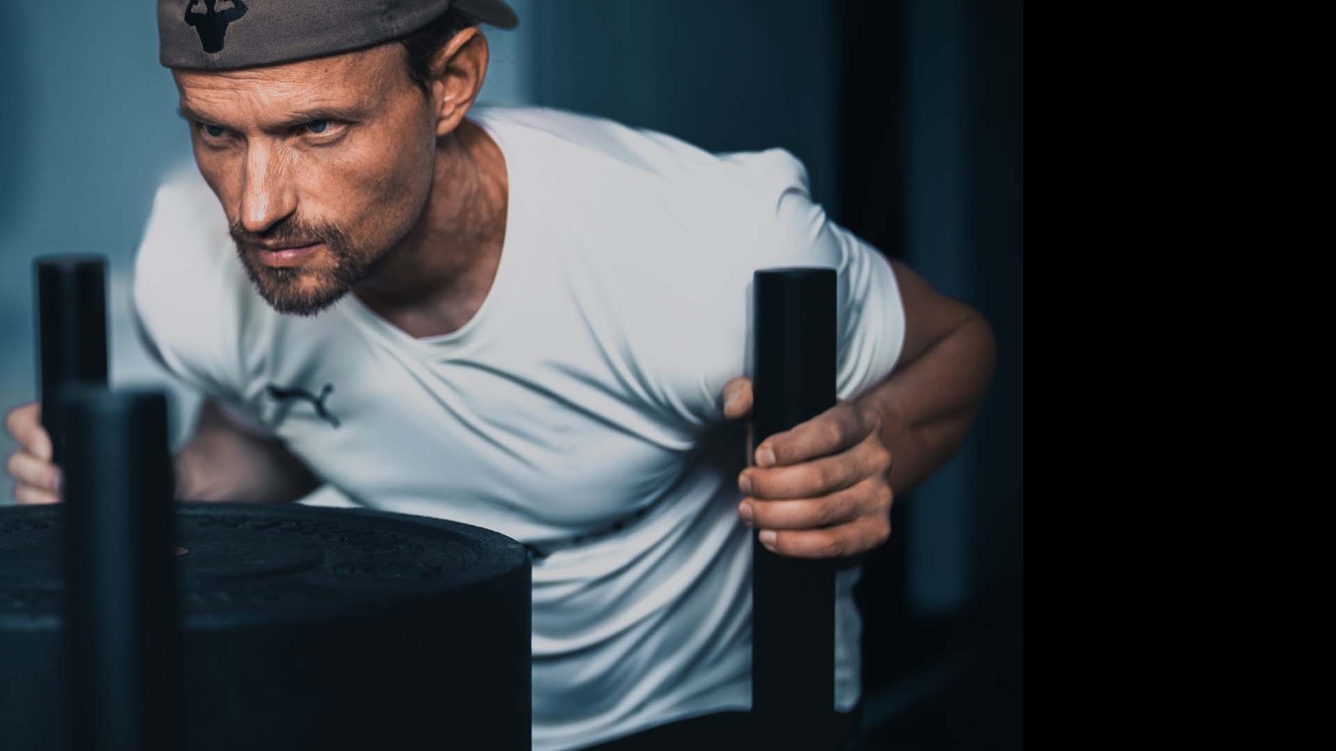 WYLD Workout Kollektion